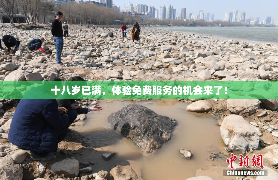 十八岁已满，体验免费服务的机会来了！