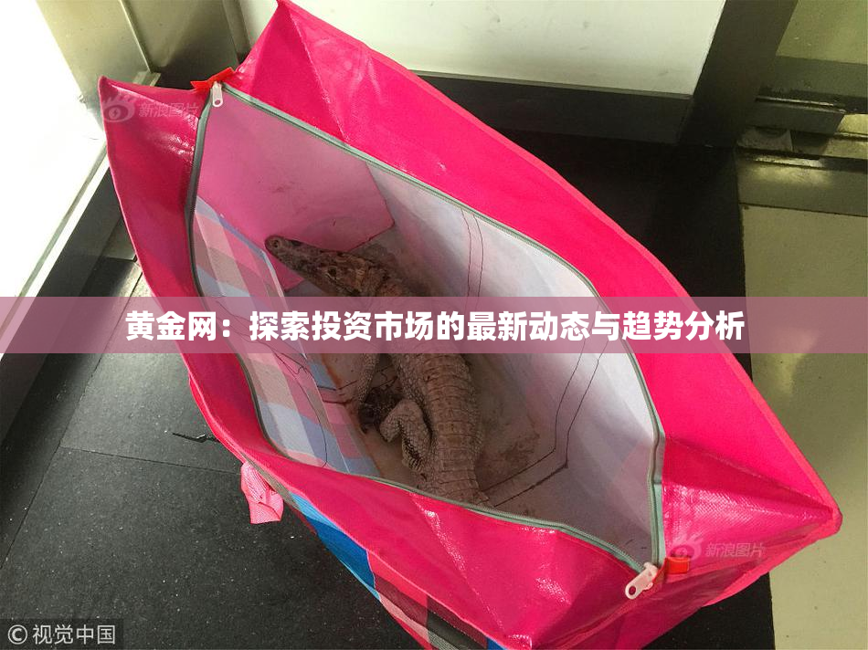 黄金网：探索投资市场的最新动态与趋势分析