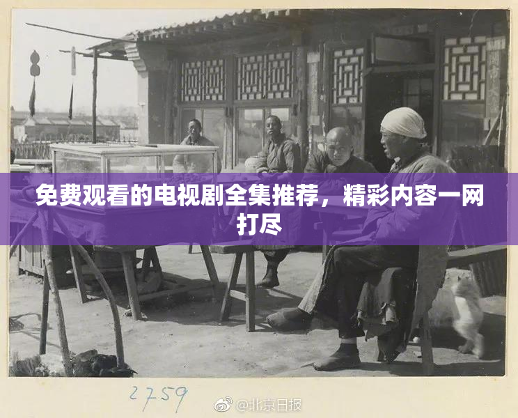 免费观看的电视剧全集推荐，精彩内容一网打尽