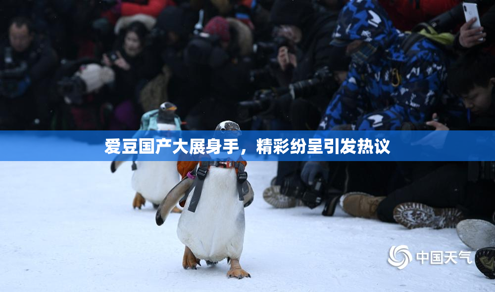 爱豆国产大展身手，精彩纷呈引发热议