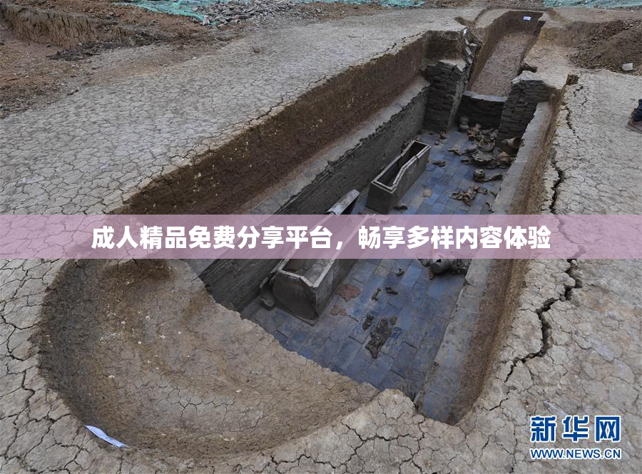 成人精品免费分享平台，畅享多样内容体验