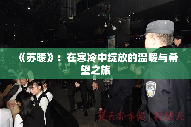 《苏暖》：在寒冷中绽放的温暖与希望之旅