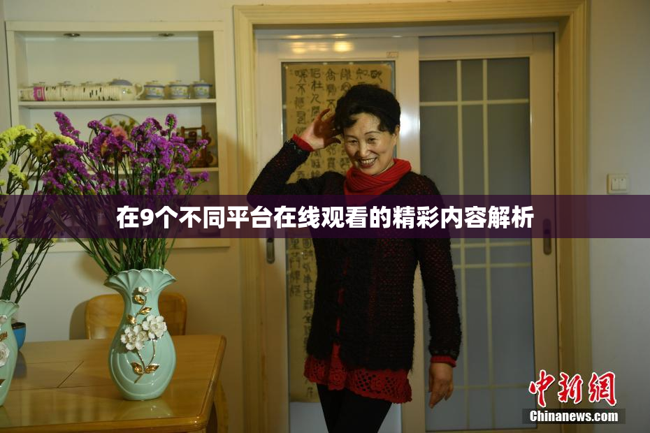 在9个不同平台在线观看的精彩内容解析