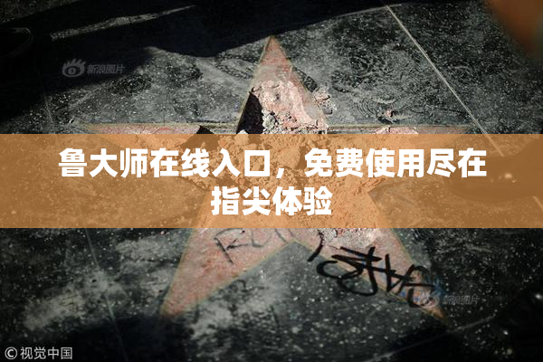 鲁大师在线入口，免费使用尽在指尖体验