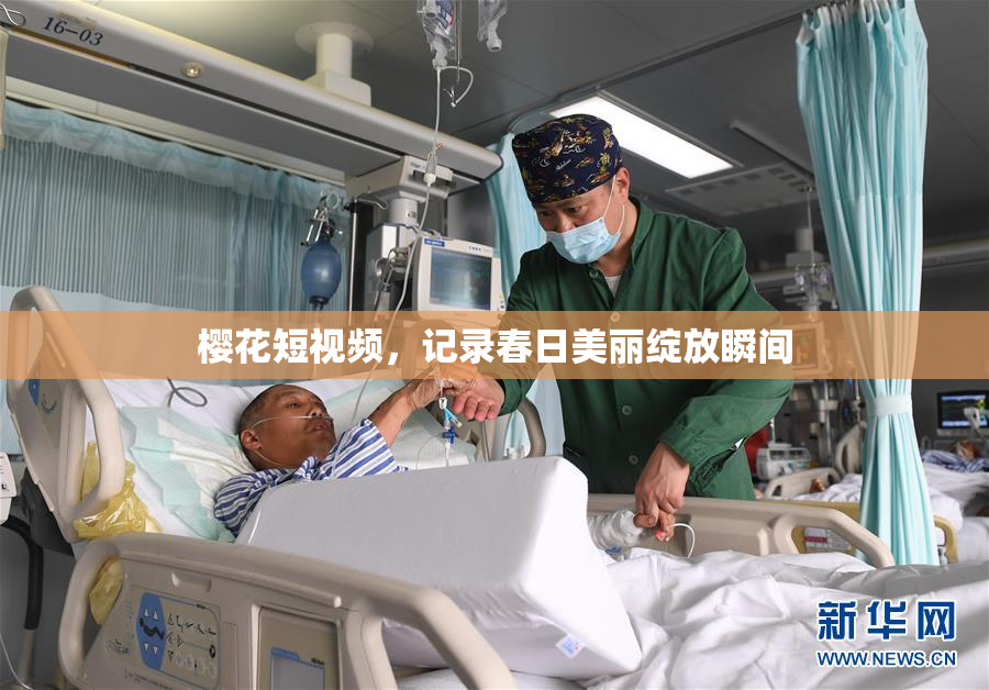 樱花短视频，记录春日美丽绽放瞬间