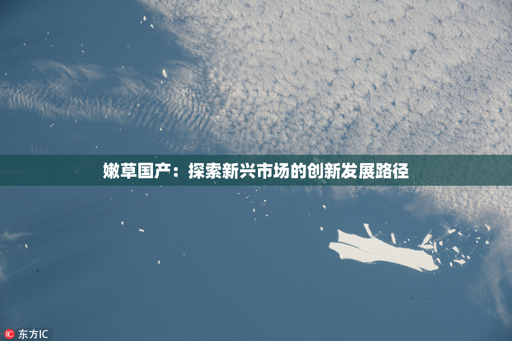 嫩草国产：探索新兴市场的创新发展路径