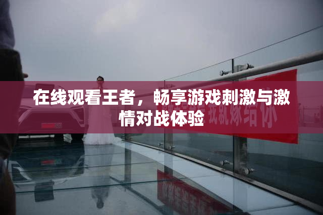 在线观看王者，畅享游戏刺激与激情对战体验