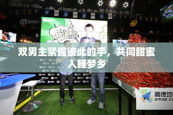 双男主紧握彼此的手，共同甜蜜入睡梦乡