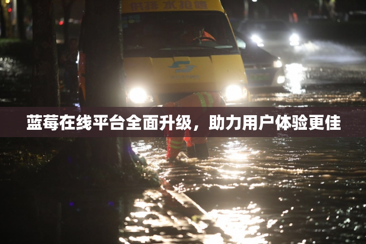 蓝莓在线平台全面升级，助力用户体验更佳