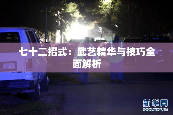 七十二招式：武艺精华与技巧全面解析