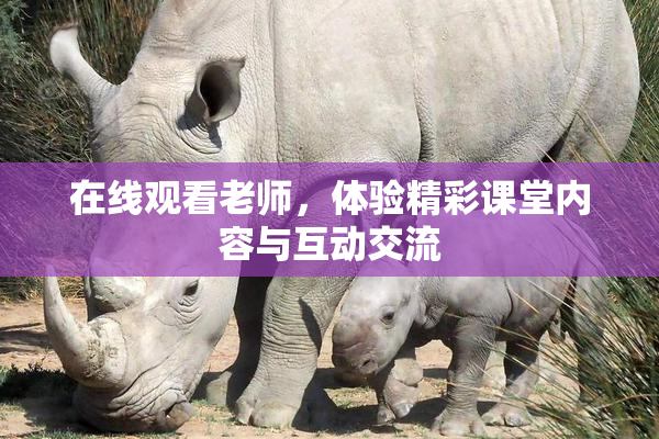 在线观看老师，体验精彩课堂内容与互动交流
