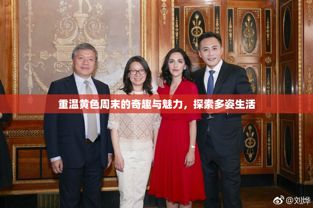 重温黄色周末的奇趣与魅力，探索多姿生活