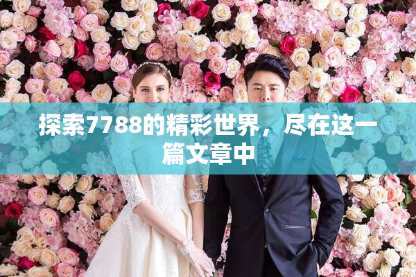 探索7788的精彩世界，尽在这一篇文章中
