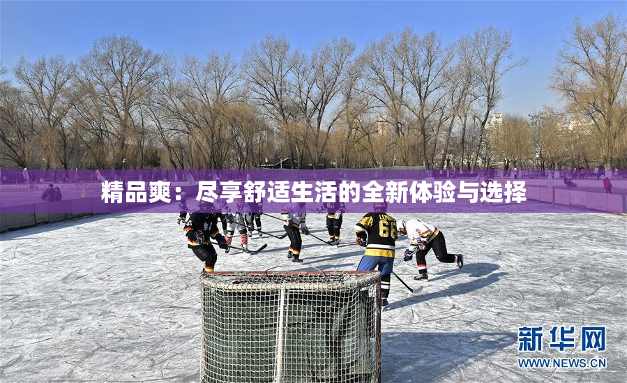 精品爽：尽享舒适生活的全新体验与选择