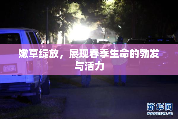 嫩草绽放，展现春季生命的勃发与活力