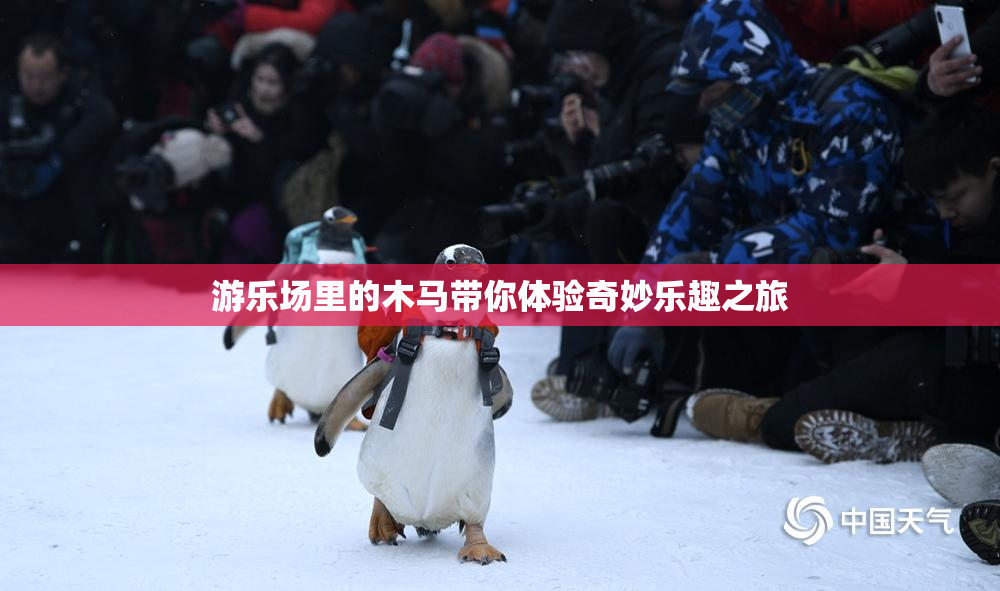 游乐场里的木马带你体验奇妙乐趣之旅