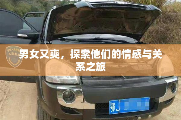 男女又爽，探索他们的情感与关系之旅