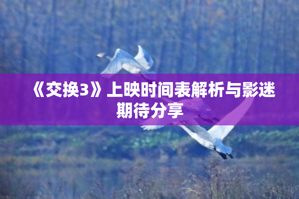 《交换3》上映时间表解析与影迷期待分享