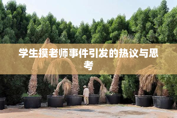 学生摸老师事件引发的热议与思考