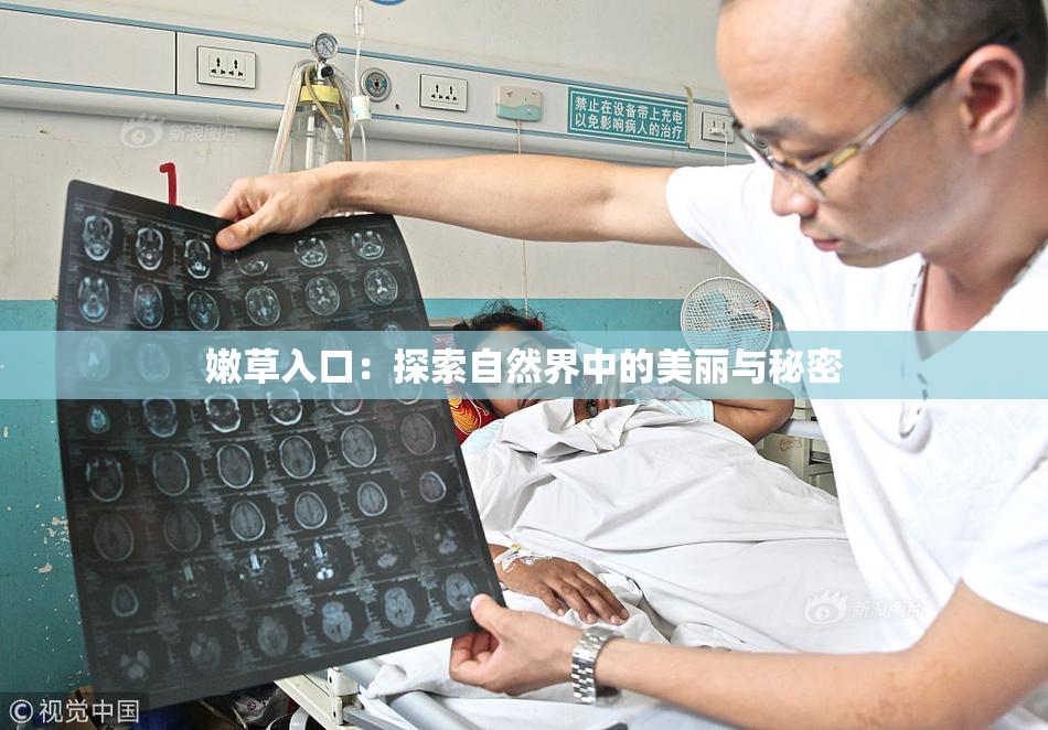 嫩草入口：探索自然界中的美丽与秘密