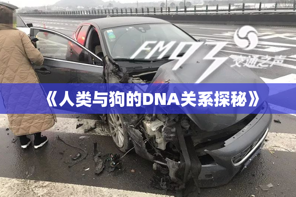 《人类与狗的DNA关系探秘》