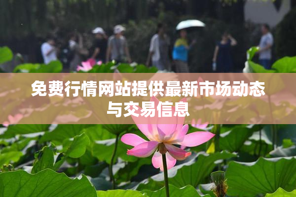 免费行情网站提供最新市场动态与交易信息