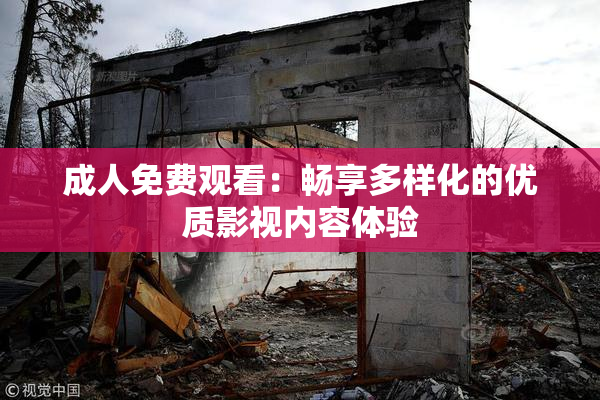成人免费观看：畅享多样化的优质影视内容体验