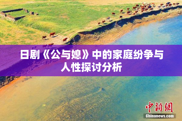 日剧《公与媳》中的家庭纷争与人性探讨分析