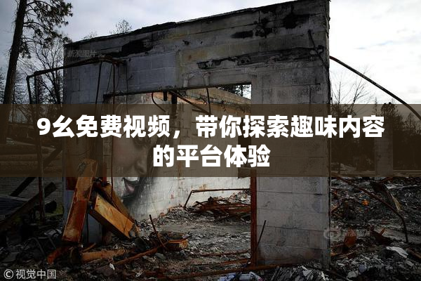 9幺免费视频，带你探索趣味内容的平台体验