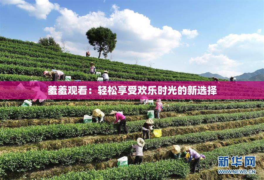 羞羞观看：轻松享受欢乐时光的新选择