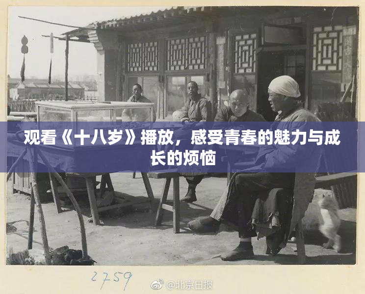 观看《十八岁》播放，感受青春的魅力与成长的烦恼