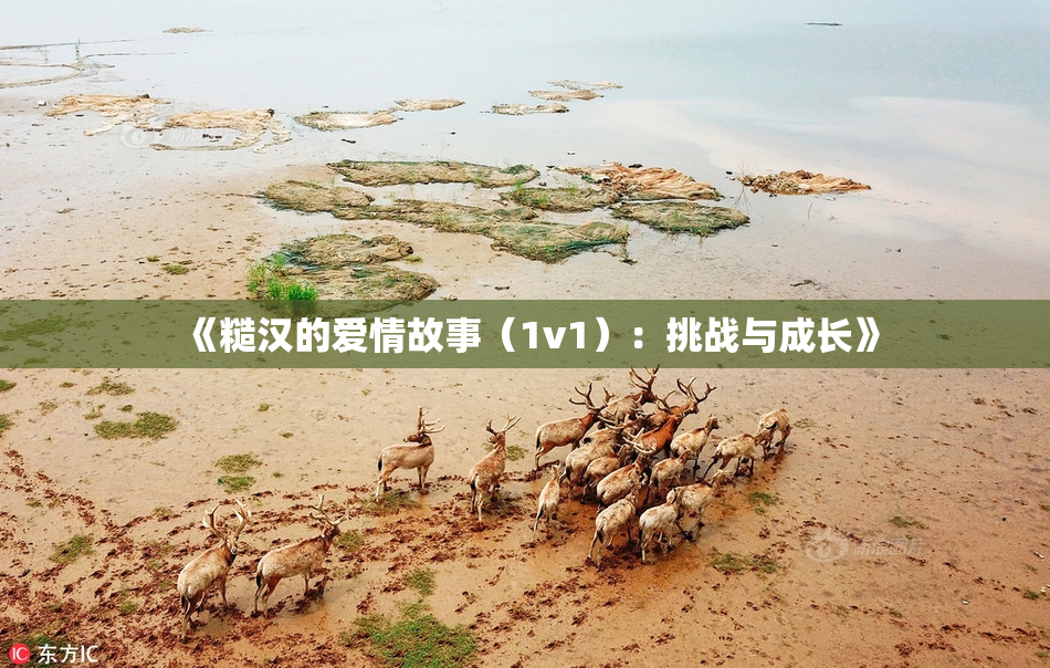 《糙汉的爱情故事（1v1）：挑战与成长》
