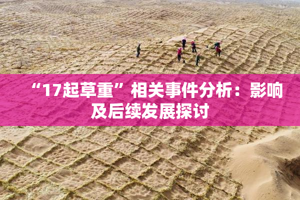 “17起草重”相关事件分析：影响及后续发展探讨