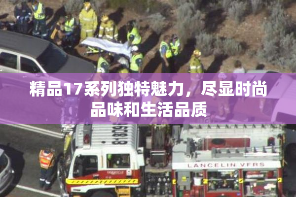 精品17系列独特魅力，尽显时尚品味和生活品质