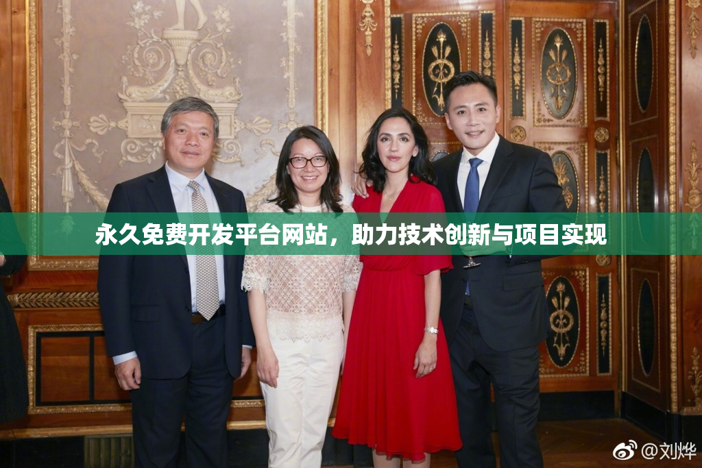 永久免费开发平台网站，助力技术创新与项目实现