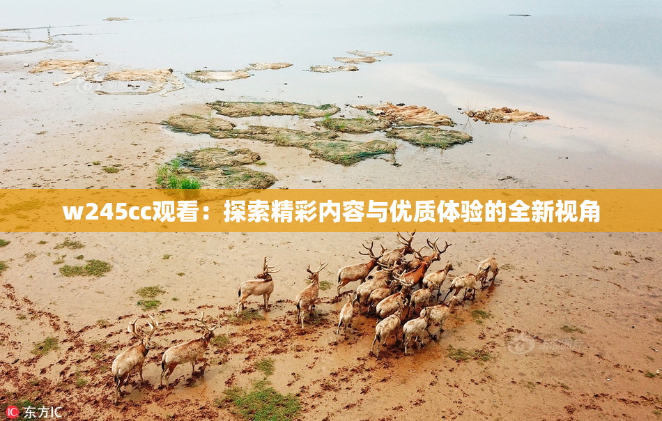 w245cc观看：探索精彩内容与优质体验的全新视角