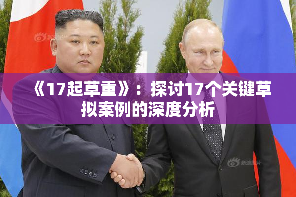 《17起草重》：探讨17个关键草拟案例的深度分析