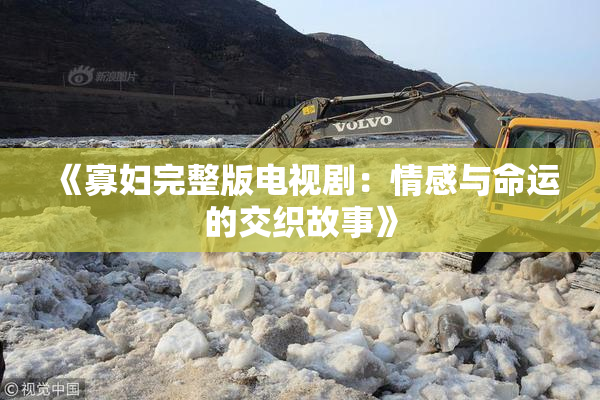 《寡妇完整版电视剧：情感与命运的交织故事》