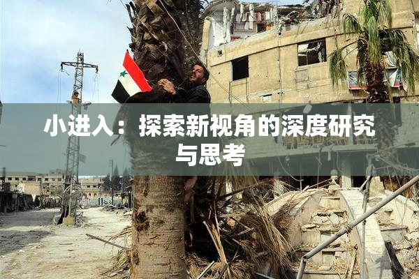 小进入：探索新视角的深度研究与思考