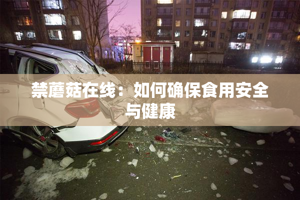 禁蘑菇在线：如何确保食用安全与健康