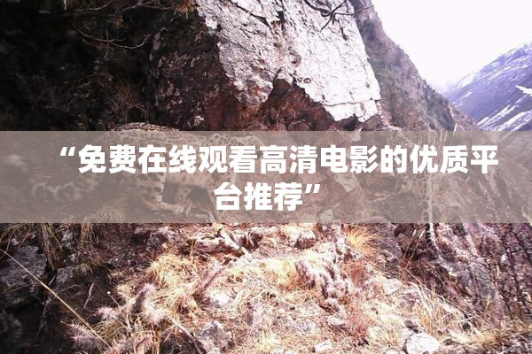 “免费在线观看高清电影的优质平台推荐”