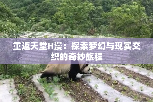 重返天堂H漫：探索梦幻与现实交织的奇妙旅程