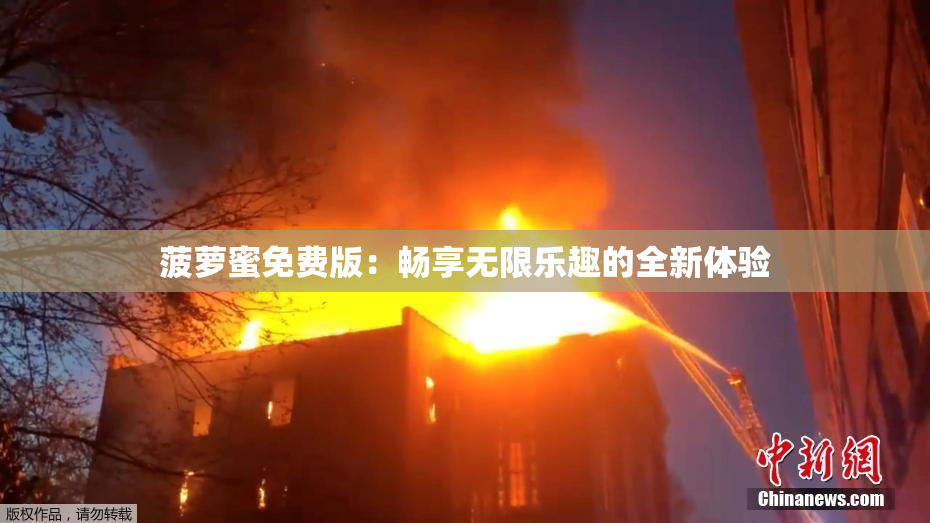 菠萝蜜免费版：畅享无限乐趣的全新体验
