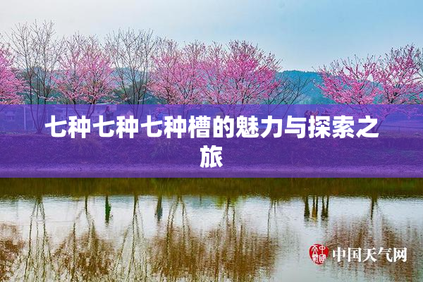 七种七种七种槽的魅力与探索之旅