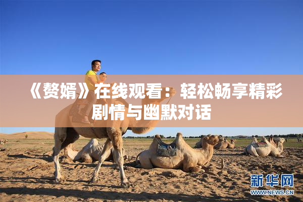 《赘婿》在线观看：轻松畅享精彩剧情与幽默对话