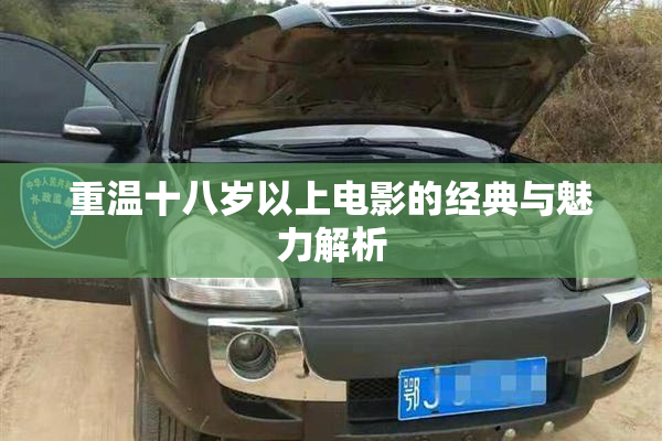 重温十八岁以上电影的经典与魅力解析