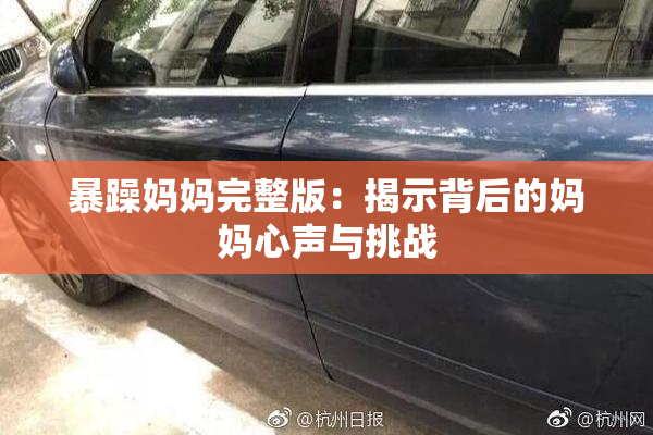 暴躁妈妈完整版：揭示背后的妈妈心声与挑战