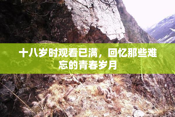 十八岁时观看已满，回忆那些难忘的青春岁月