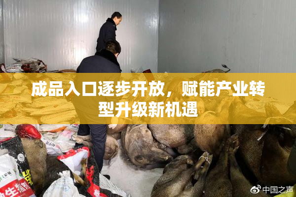 成品入口逐步开放，赋能产业转型升级新机遇