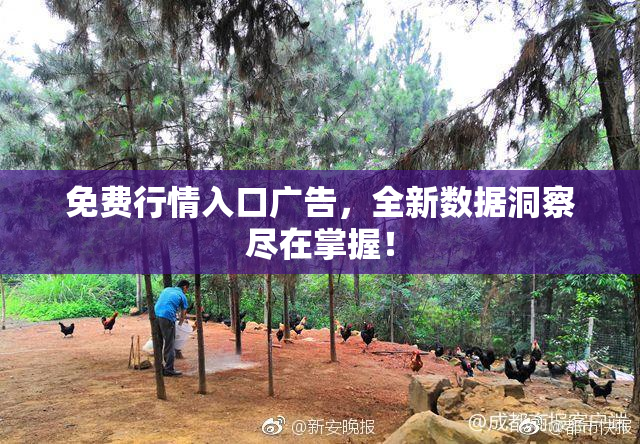 免费行情入口广告，全新数据洞察尽在掌握！